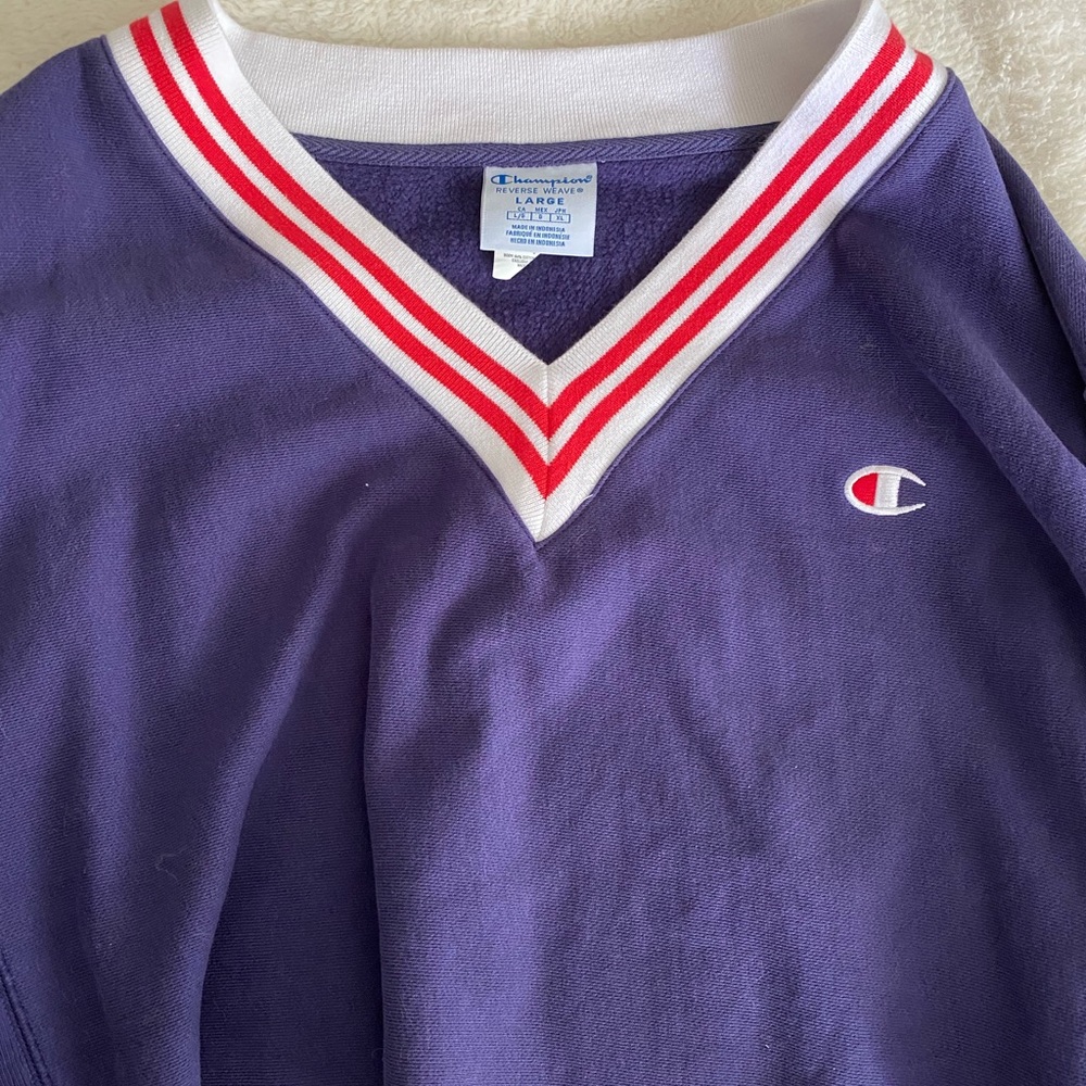 Vintage Cropped Champion Hoodie